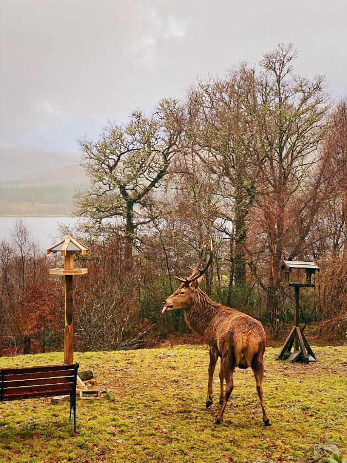 Tarmachan Cottage - West Highland Getaway Fort William Exterior photo